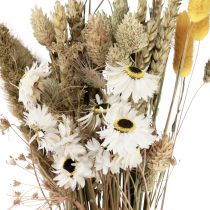 Artikel Tørrede blomsterbuket stråblomster Phalaris hvid gul 30cm