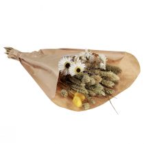 Artikel Tørrede blomsterbuket stråblomster Phalaris hvid gul 30cm