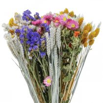 Buket tørrede blomster hav lavendel Phalaris korn 55cm
