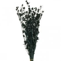 Tørrede tidsel sorte jordbærtidsel tørrede blomster 100g