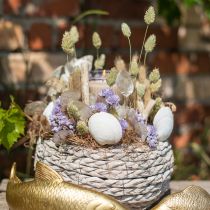 Tørrede græsser Phalaris tørret tør floristisk natur 55cm 80g