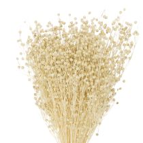 Artikel Tørret græshør tørret naturlig bleget 50-55 cm 180 g