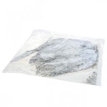 Artikel Tørrede dekorative planter af hvid palmefiber 250 g hobbymateriale