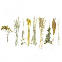 Artikel Tørrede blomster DIY-værktøjssæt gult til kreative buketter og dekorative kranse 60 cm – naturprodukt