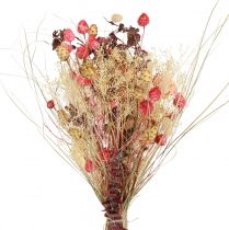 Artikel Tør buket af knapweed jordbærtidsel rød bleget 150g