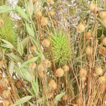 Artikel Tør buket af teasels havre hør mynte naturlig hvid 40cm 80g