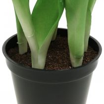 Artikel Tulipan pink, grøn i potte Kunstig potteplante dekorativ tulipan H23cm