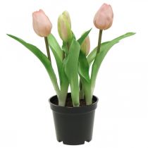 Artikel Tulipan pink, grøn i potte Kunstig potteplante dekorativ tulipan H23cm