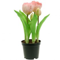 Artikel Kunstige blomster i potte Kunstige tulipaner Pink Gul 22,5 cm