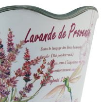 Artikel Plantekasse plast lavendel urtepotte Ø13,5cm H12cm