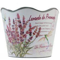 Artikel Plantekasse plast urtepotte sommer lavendel Ø16,5cm H13,5cm