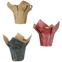 Artikel Plantekasse papir stjerner rød/antracit/naturlig Ø12cm H12cm 9stk