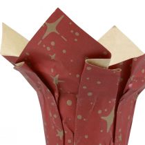 Artikel Plantekasse papir stjerner rød/antracit/naturlig Ø4,5cm H6cm 9 stk