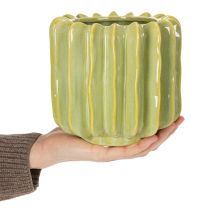 Artikel Kaktusblomsterpotte, ideel skål til eksotiske boligtilbehør, 16 cm