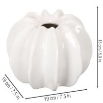 Artikel Græskarpyntvase, blank, efterårsdekoration til stuen, 19 cm