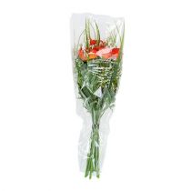 Artikel Emballagetragt A L66cm B35cm - 10cm 50 stk