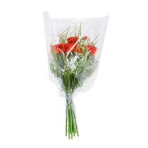 Artikel Emballagetragt B L55cm B50cm - 15cm 50 stk