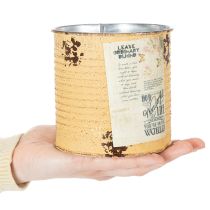Artikel Vintage-look urtepotte/dåse med bogstaver til indendørs dekoration, 11 cm, 3 stk.