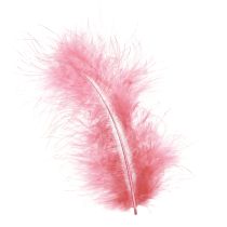 Artikel Fuglefjer håndværksfjer i pink forårspåske 20g