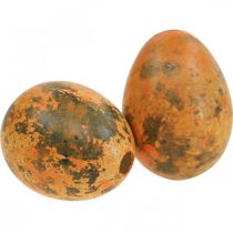 Artikel Vagtelæg dekoration blæst æg orange abrikos 3cm 50 stk