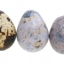Vagtelæg mix lilla, violet, natur tomme æg som dekoration 3cm 65p