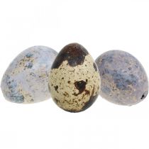 Vagtelæg mix lilla, violet, natur tomme æg som dekoration 3cm 65p