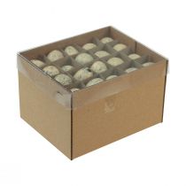 Artikel Vagtelæg dekoration Påskeblæst æg creme 3cm 50 stk