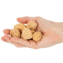 Artikel Valnødder til pynt, naturprodukt, 3-4 cm, 300 g