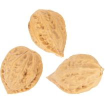 Artikel Valnødder til pynt, naturprodukt, 3-4 cm, 300 g