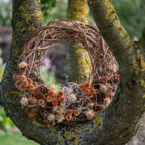 Artikel Naturlig pilekrans som hobbykrans til blomsterhandel, 40 cm