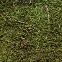 Artikel Juletræ mos træ dekoration i grøn natur Ø25cm H70cm