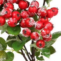 Artikel Julegrene med røde bær, vinterdekoration, harpebærrød sneet L58cm