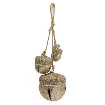 Dekorativ bøjle eikenører 3cm-5cm champagne L16cm 3stk