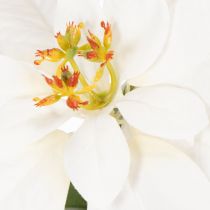 Artikel Kunstig julestjerne, hvid, storblomstret, dekorativ plante, 40 cm