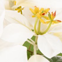 Artikel Kunstig julestjerne, hvid, storblomstret, dekorativ plante, 40 cm