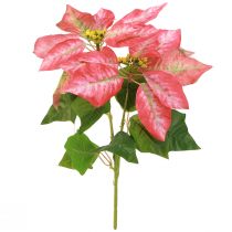 Artikel Kunstig julestjerne Rød Pink L35cm 6 stk 2 bundter