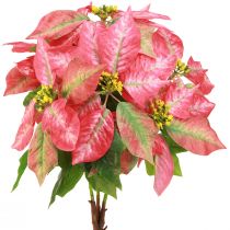 Artikel Julestjerne rød pink kunstig julestjerne L53cm