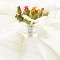 Artikel Kunstig hvid julestjerne, stor blomstrende grendekoration, 65 cm, 2 stk.