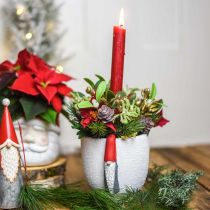 Julekrukke med nisse, adventsdekoration, betonkasse hvid, rød Ø8cm H12,5cm 2stk.