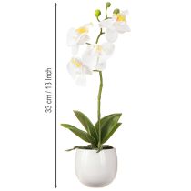 Artikel Hvide kunstige orkidéblomster i potte Phalaenopsis H33cm