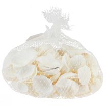 Artikel Hvide skaller dekorative hjertemuslinger cremehvide 2-3,5cm 300g