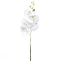Artikel Hvid kunstig orkidé Phalaenopsis Real Touch 85cm