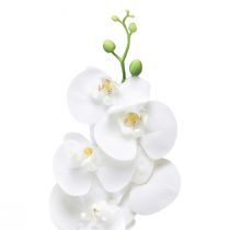 Artikel Hvid kunstig orkidé Phalaenopsis Real Touch 85cm