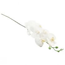 Artikel Hvid kunstig orkidé Phalaenopsis Real Touch 85cm