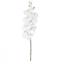 Artikel Hvid kunstig orkidé Phalaenopsis Real Touch H83cm
