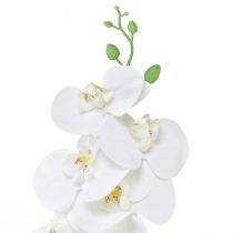 Artikel Hvid kunstig orkidé Phalaenopsis Real Touch H83cm