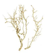 Artikel White Bush bleget 5 stk