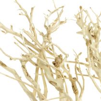 Artikel White Bush bleget 5 stk