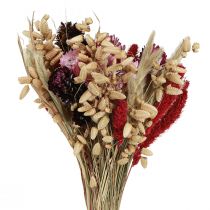 Artikel Vildblomst buket af tørrede blomster i naturlig pink L30cm