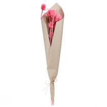 Artikel Tørret vilde kardeboller, lyserøde tidsler, 53 cm, 10 hoveder